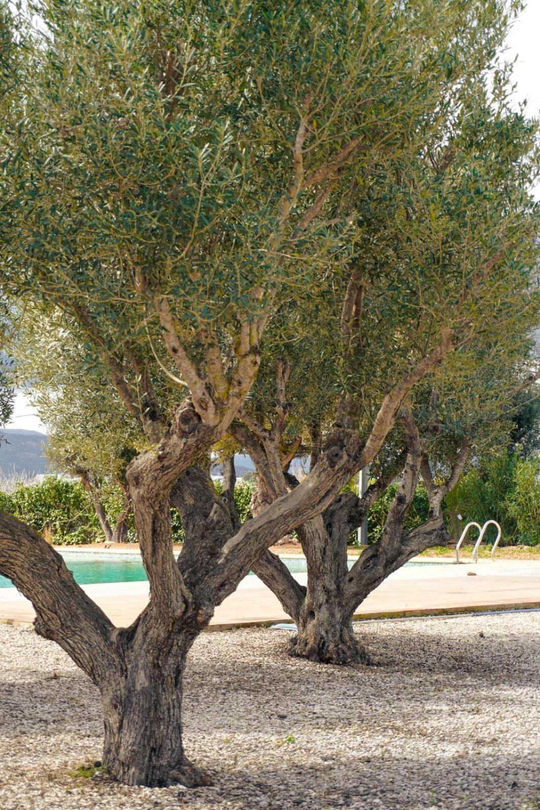 Hotel Finca Olivar Benissa Exterior foto
