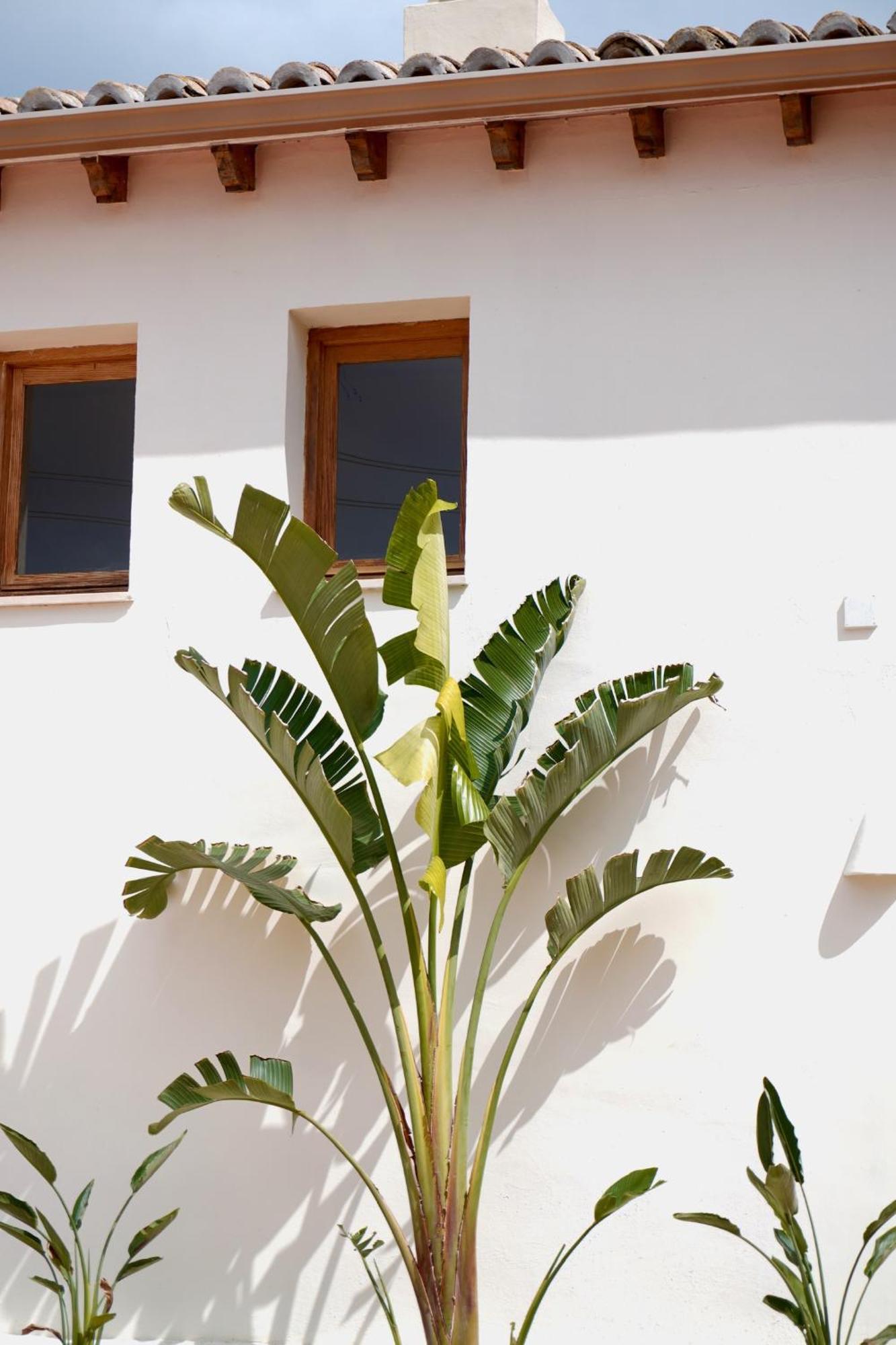 Hotel Finca Olivar Benissa Exterior foto